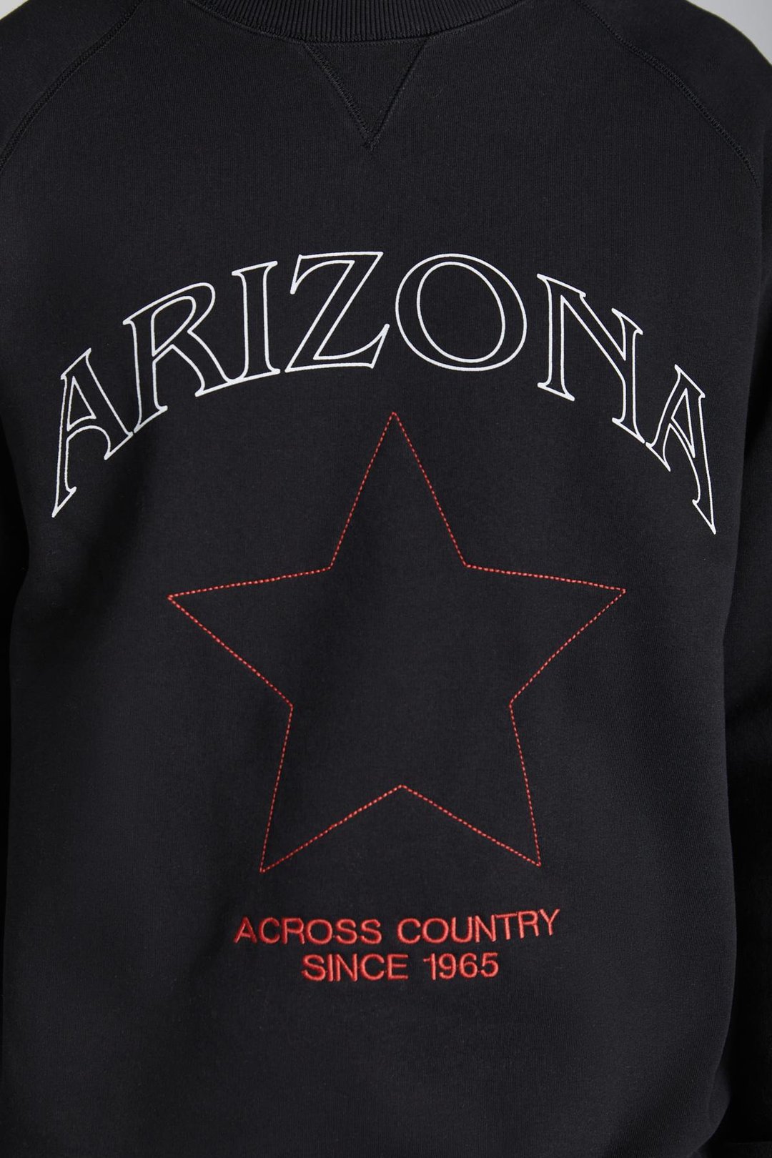 DOMAGOJ Erkek Pamuk Yuvarlak Yaka Siyah Sweatshirt