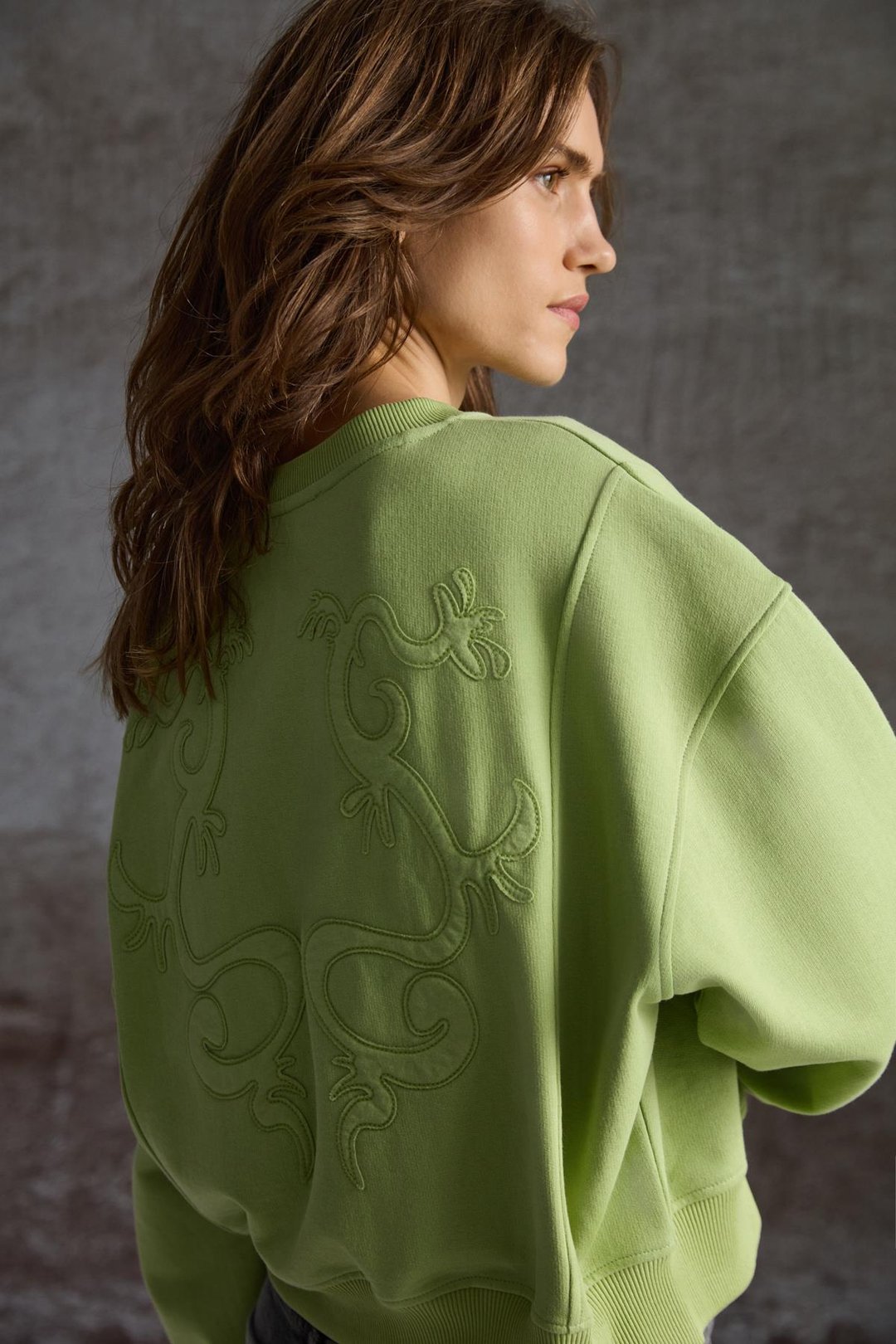 FANN Kadın Nakış Detaylı Yumuşacık Kumaş Örme 3 İplik Organik Pamuk Açık Yeşil Sweatshirt