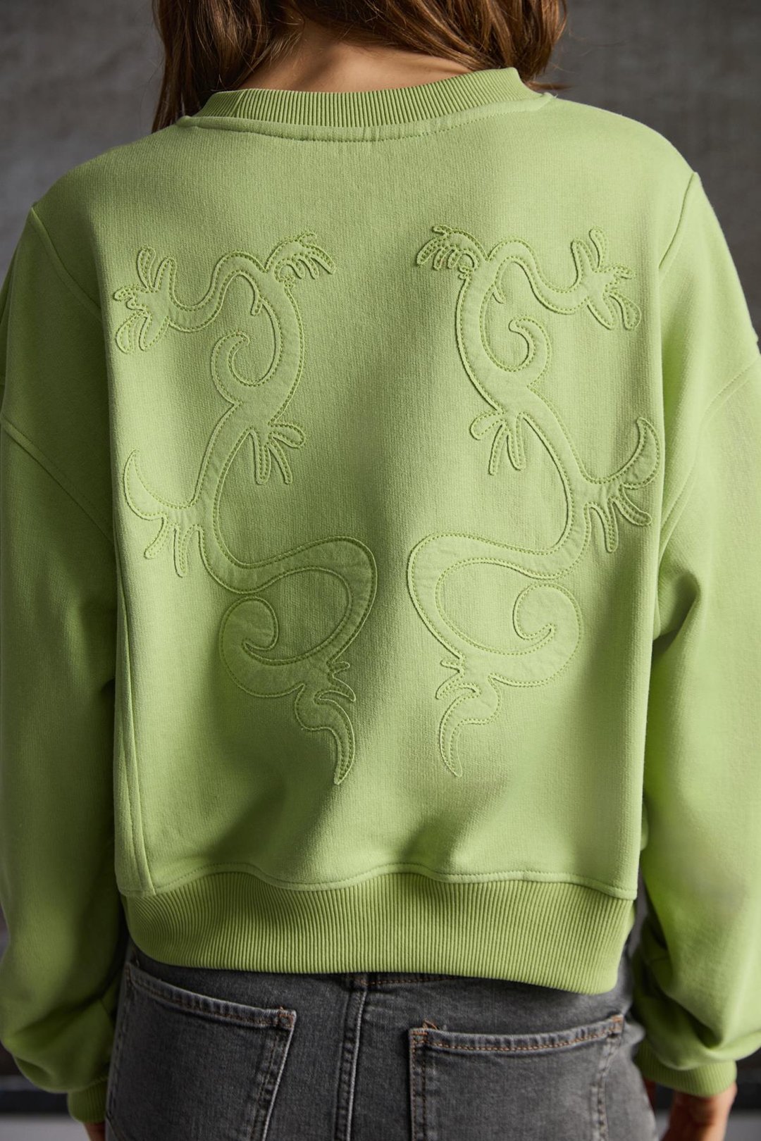 FANN Kadın Nakış Detaylı Yumuşacık Kumaş Örme 3 İplik Organik Pamuk Açık Yeşil Sweatshirt