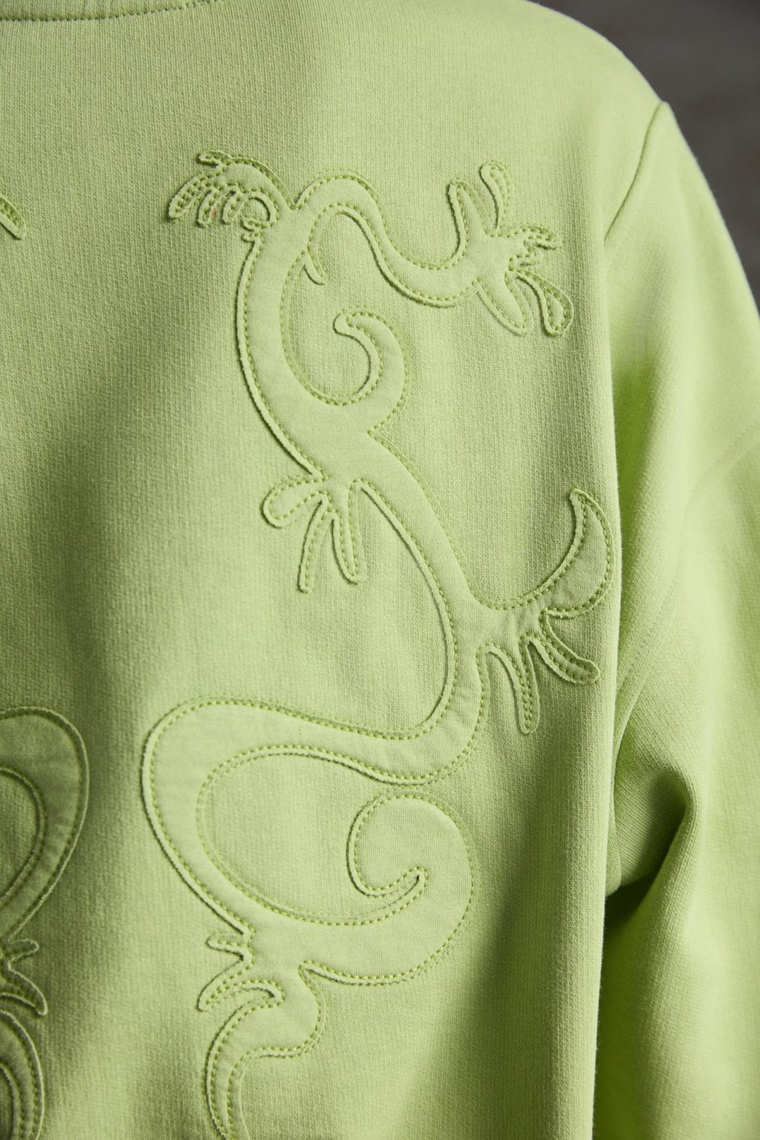 FANN Kadın Nakış Detaylı Yumuşacık Kumaş Örme 3 İplik Organik Pamuk Açık Yeşil Sweatshirt