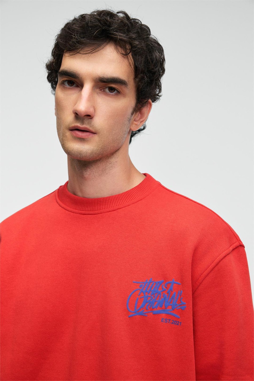 IRVING Erkek Yuvarlak Yaka Göğsü Ve Önü Regular Fit Kiremit Rengi Sweatshirt