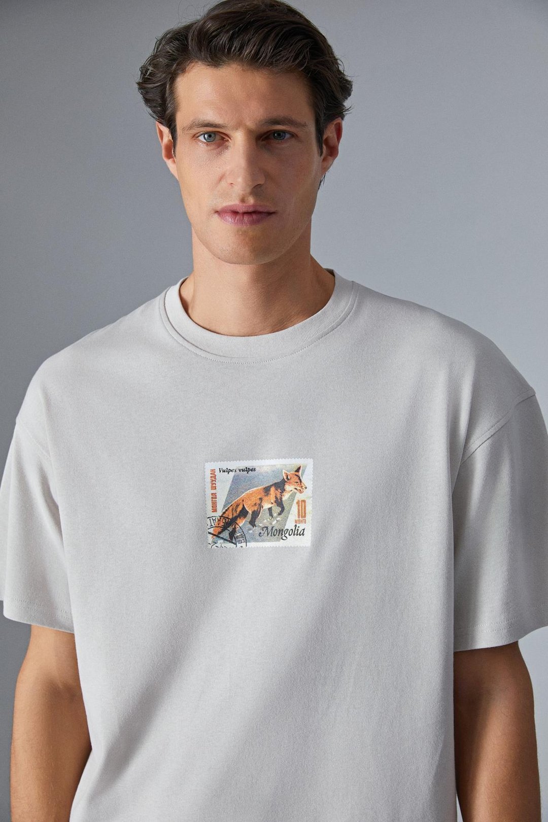 MONGOLIA Erkek Baskı Detaylı %100 Organik Pamuk Bisiklet Yaka Kısa Kol Comfort Bej T-Shirt