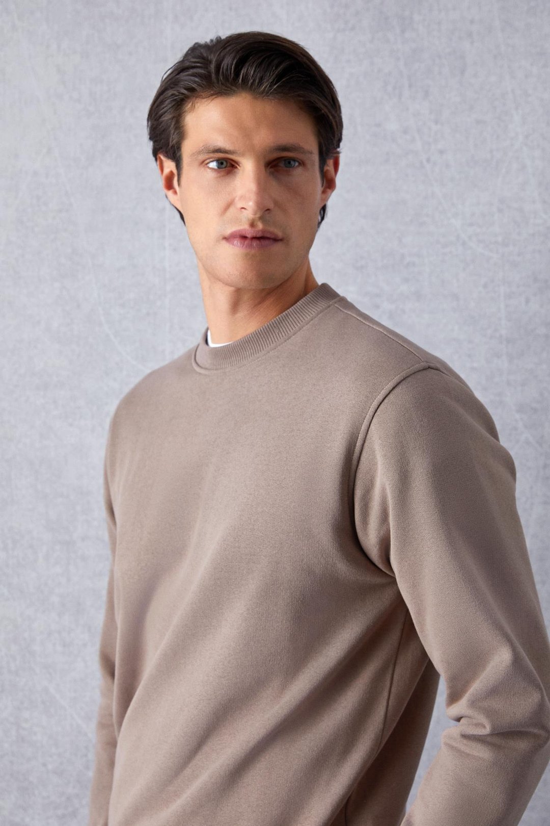 TRAVIS Erkek Organik Kumaşlı Yumuşacık Regular Fit Yuvarlak Yakalı Vizon Sweatshirt