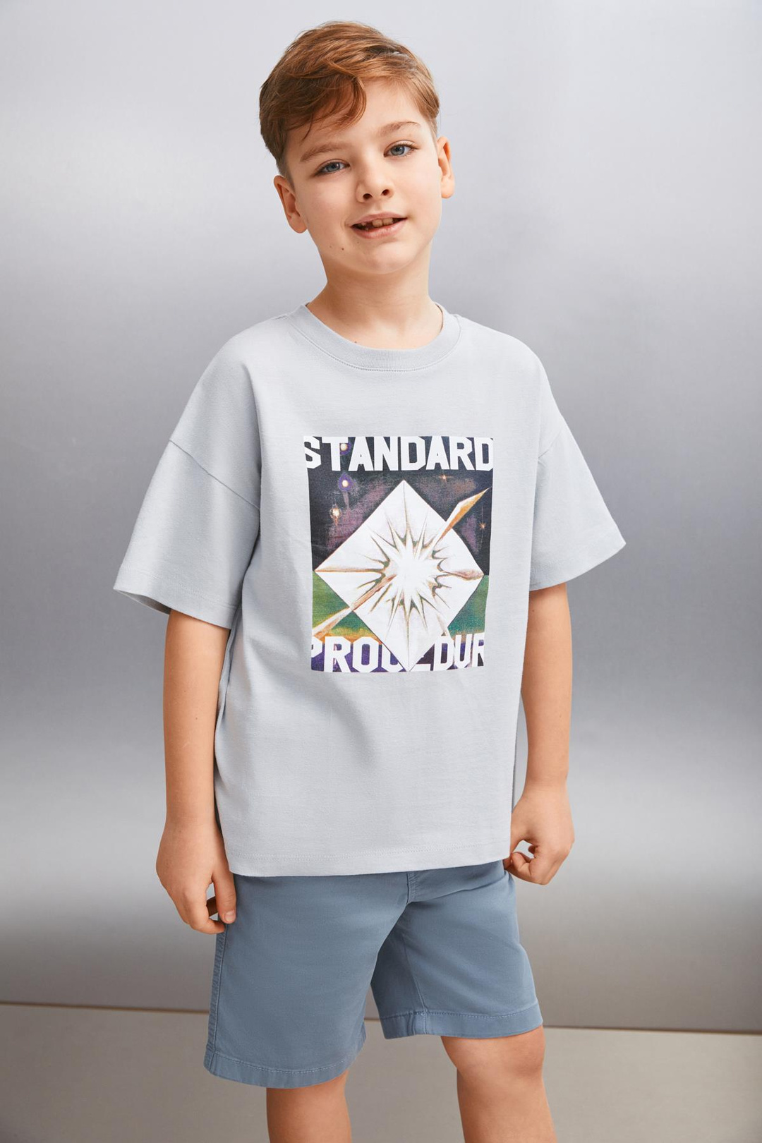 INNES  Regular Gri Tekli T-Shirt