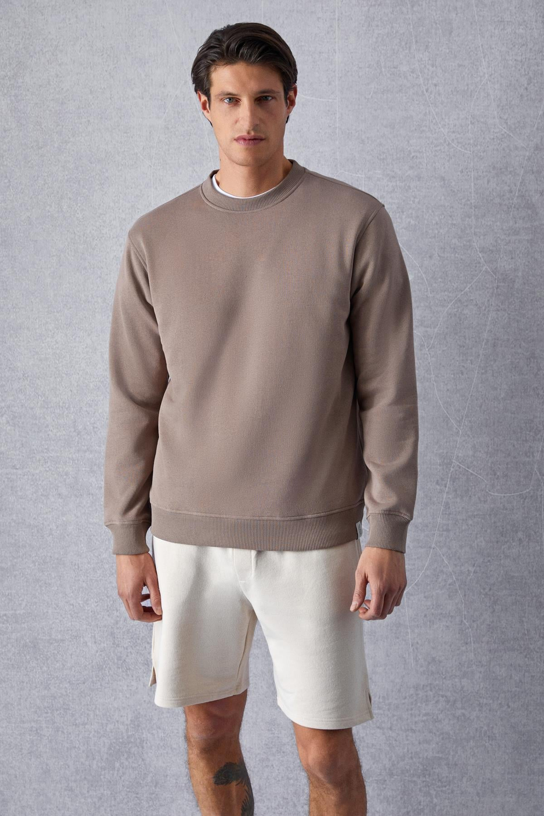 Adams Erkek Içi Polarlı Yumuşacık Organik Pamuklu Regular Fit Vizon Sweatshirt