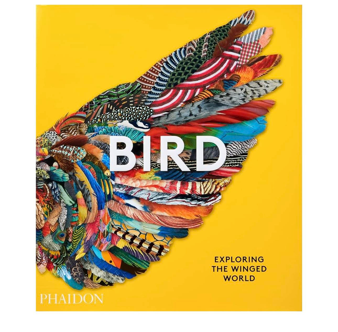 Bird : Exploring the Winged World