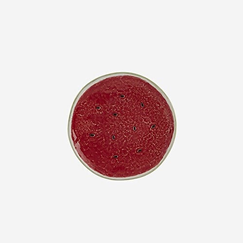 BORDALLO PINHEIRO Watermelon Kırmızı Seramik Kahvaltı Tabağı 21,5 Cm