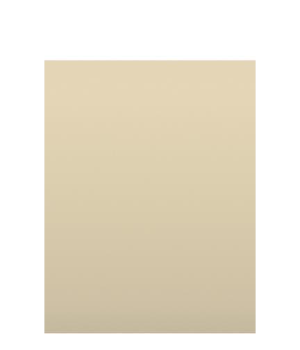 AkzoNobel AkzoNobel 2k Fiat 252 Krem Akrilik Sonkat Oto Boyası 1 LitreFiat 252