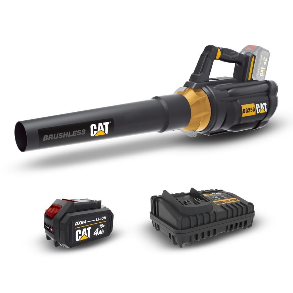CATCAT DG250 18Volt 4.0Ah. Li-ion Tek Akülü Devir Ayarlı Profesyonel Yaprak ÜflemeDG250