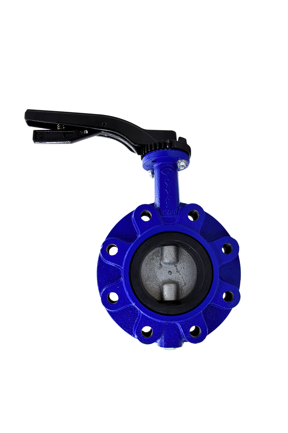 AYVAZ KELEBEK VANA KV8 DN 65 PN16 LUG TİP