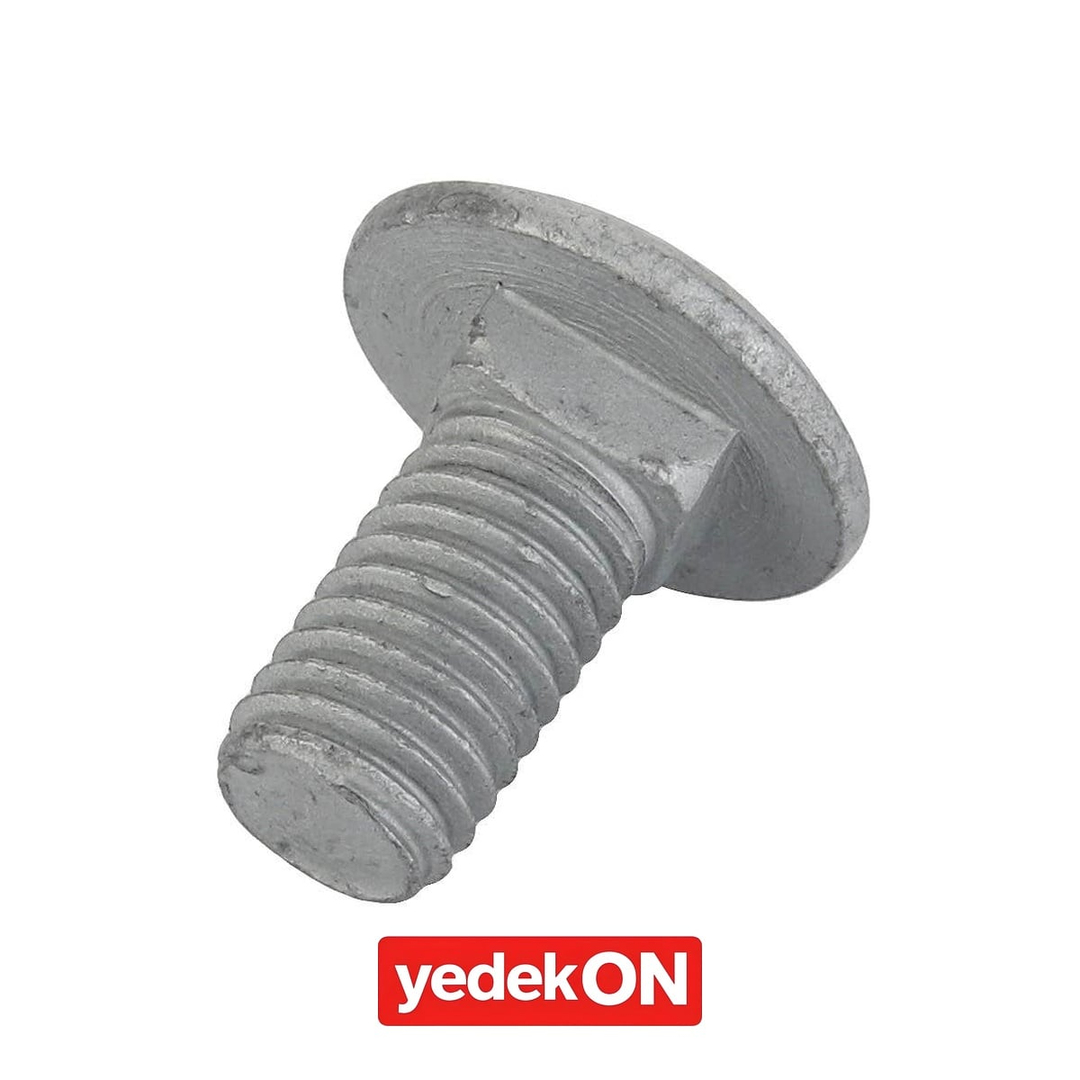 AGCO Yuvarlak Başlı Kare Boyun Cıvata - Massey Ferguson / Fendt / Valtra | ACW0997830