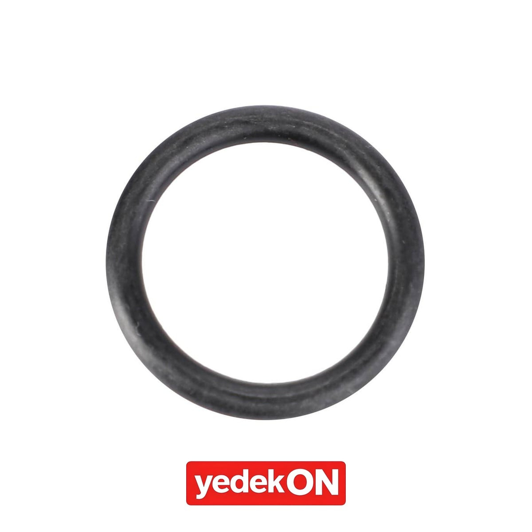 AGCO O-Ring - Challenger | X548844266000