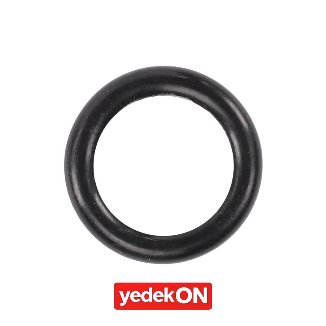AGCO Keçe - Massey Ferguson | 1645913M1