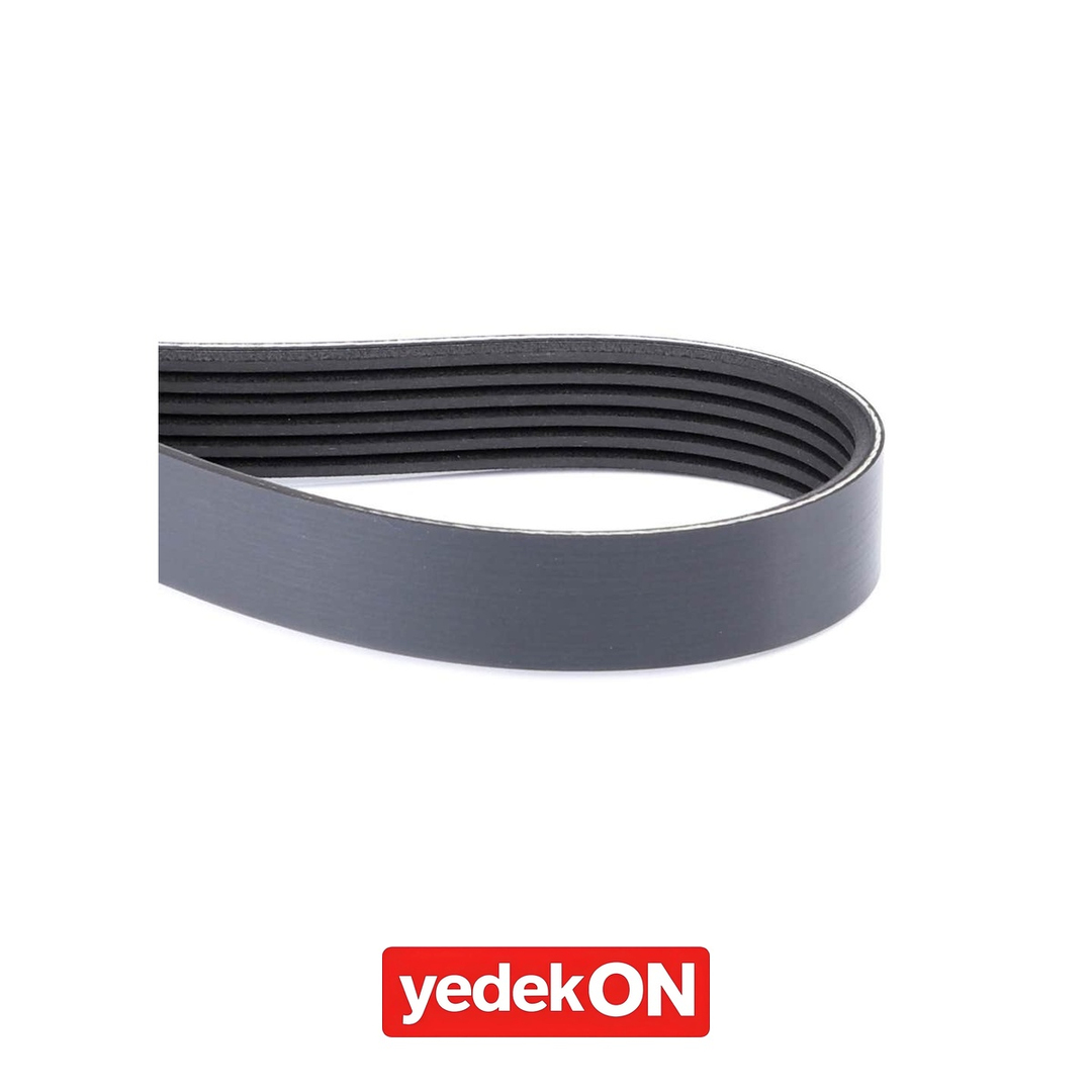 AGCO Serpantin Kayışı - Massey Ferguson | 4350583M2