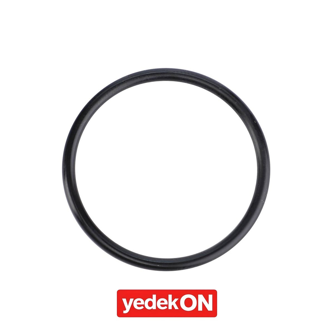 AGCO O-Ring, Planetary Drive - Fendt | F380306020260
