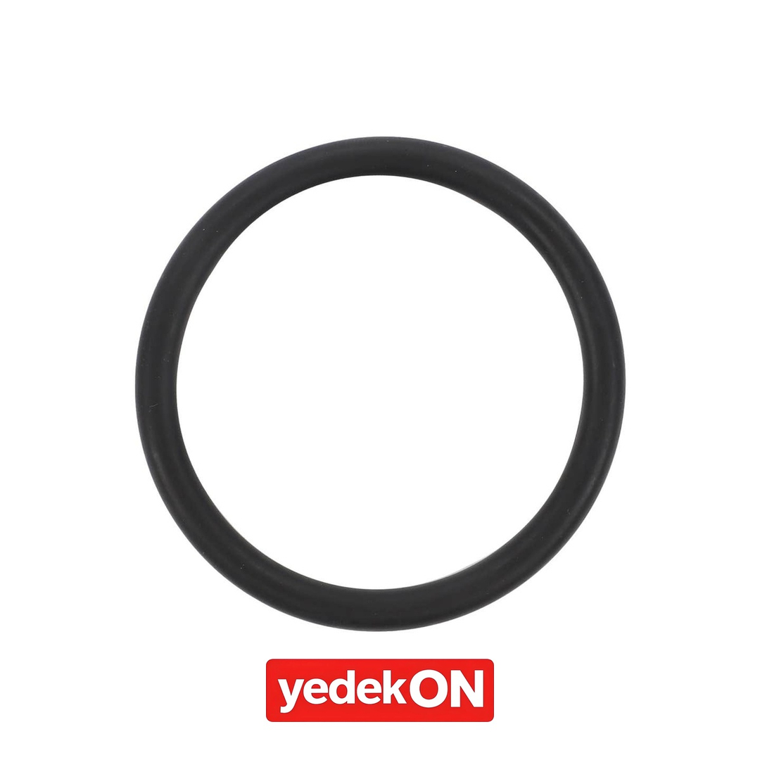 AGCO O-Ring - Massey Ferguson | 4224582M1