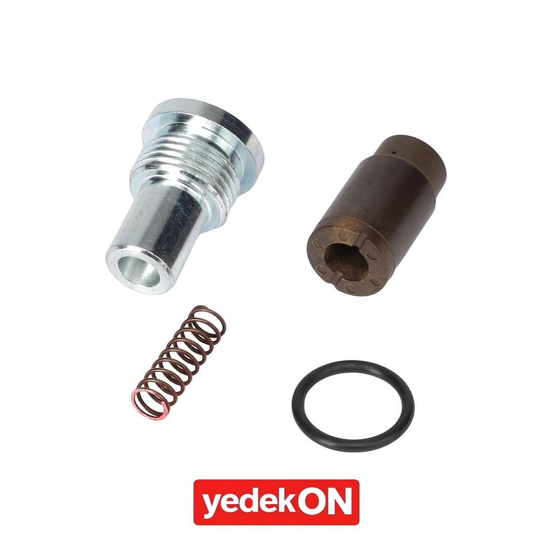 AGCO Kontrol Valfi Kiti - Massey Ferguson | 3909828M91