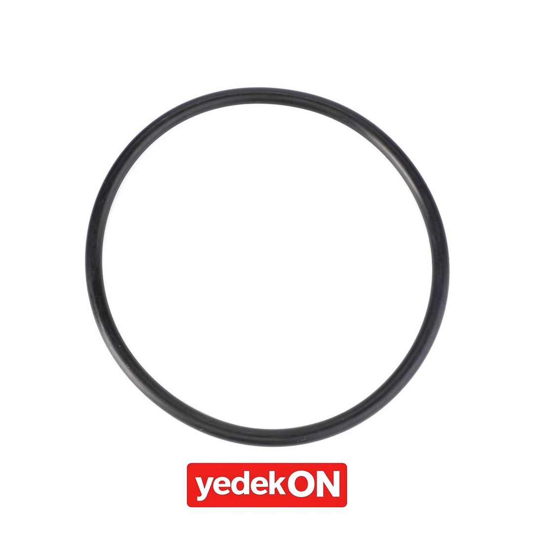 AGCO O-Ring, Yardımcı Hidrolik Filtre - Massey Ferguson | 3786819M1