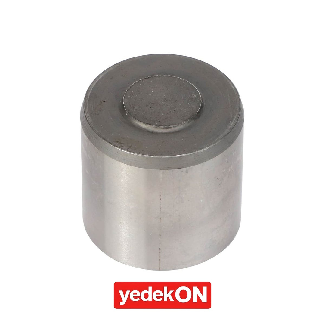 AGCO Fren Pistonları - Massey Ferguson | 4309809M1
