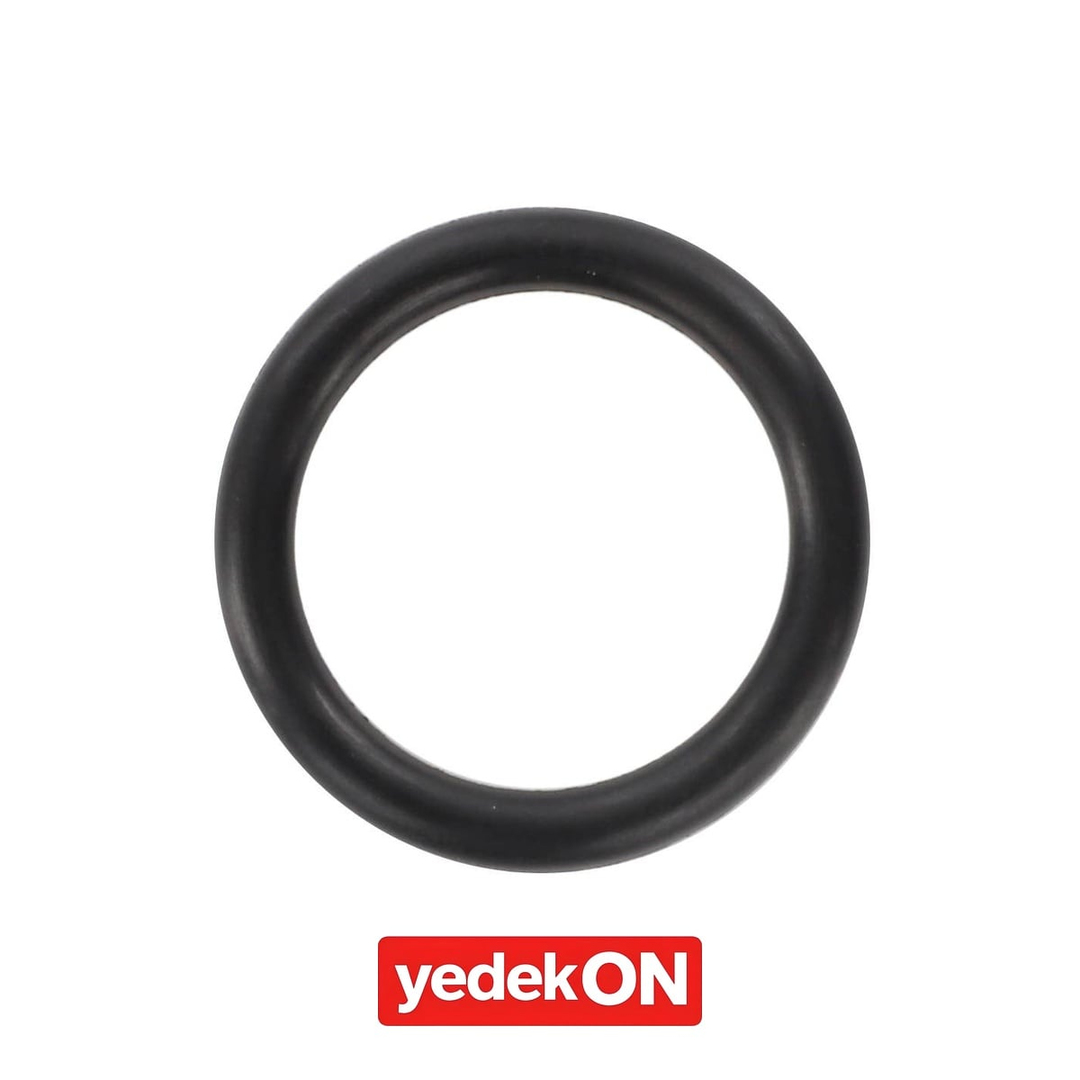 AGCO O-Ring - Valtra | VA028522