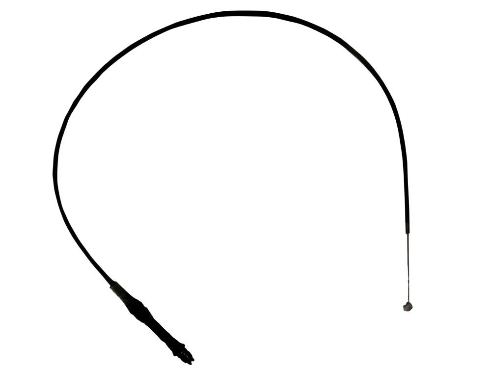 1d0d213a-d2a5-45f8-bdc0-1ab4e042f7bc-9db380.jpg