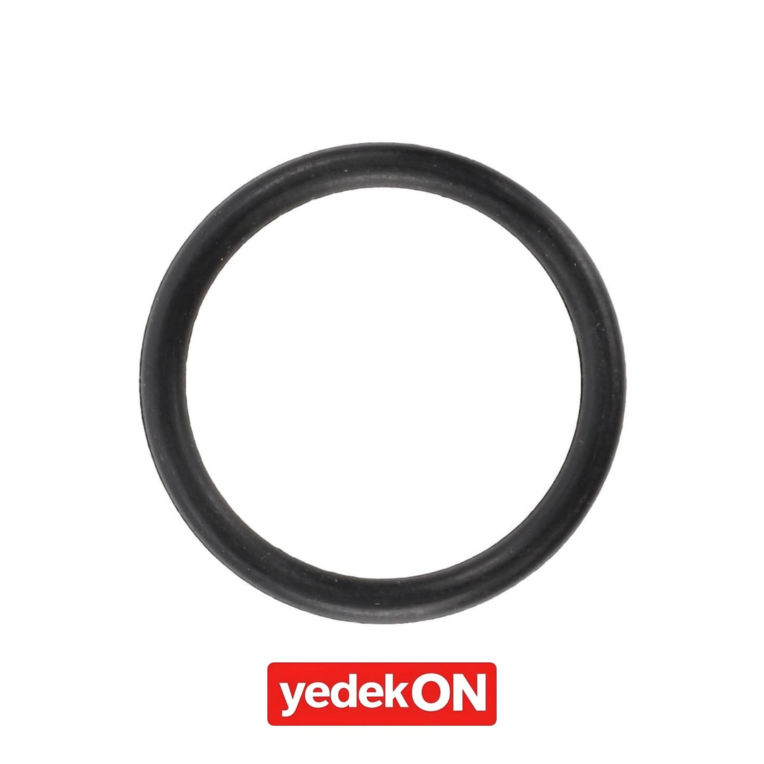 AGCO O-Ring - Massey Ferguson / Fendt / Valtra | ACW2077970