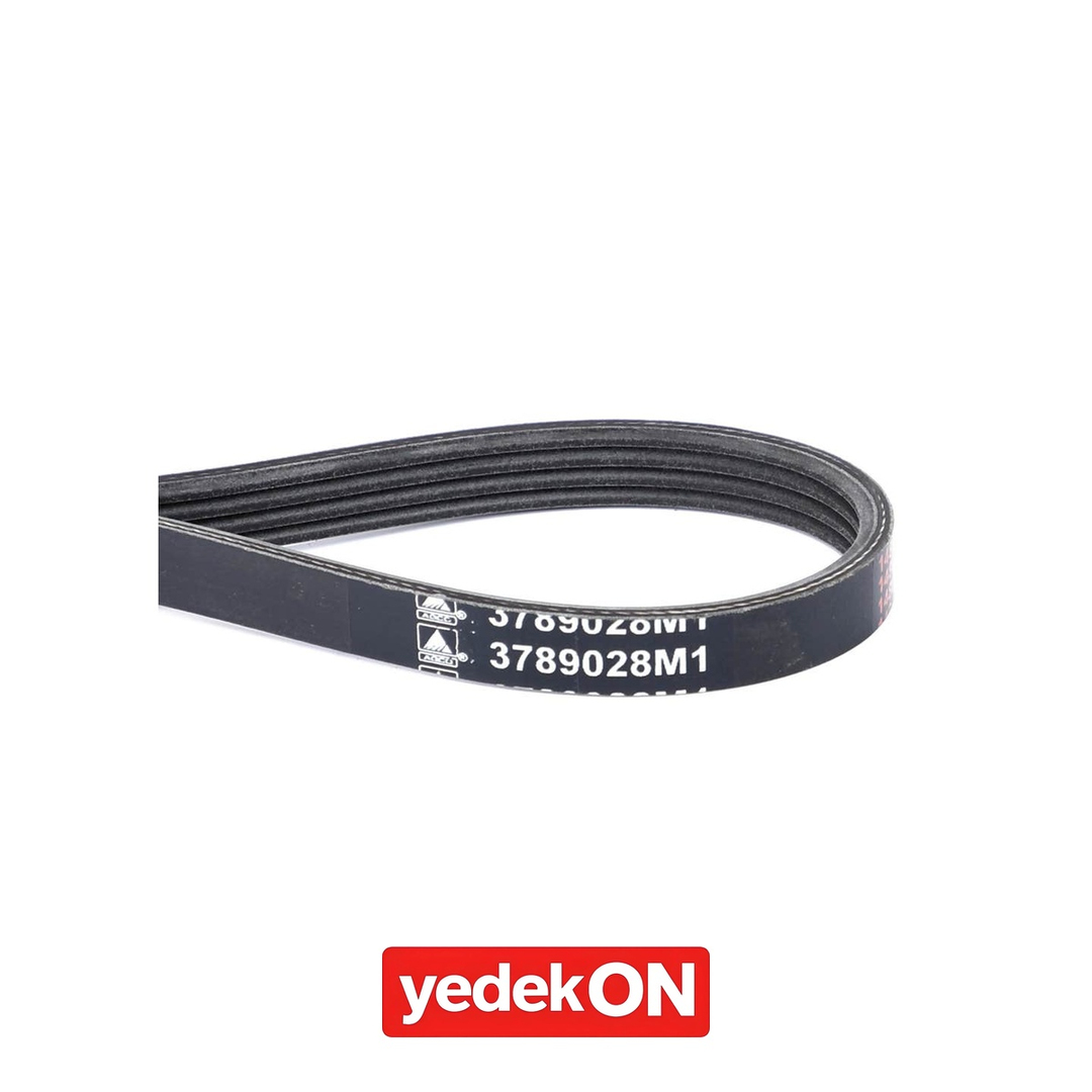 AGCO Serpantin Kayışı PK4 Profili - Massey Ferguson | 3789028M1