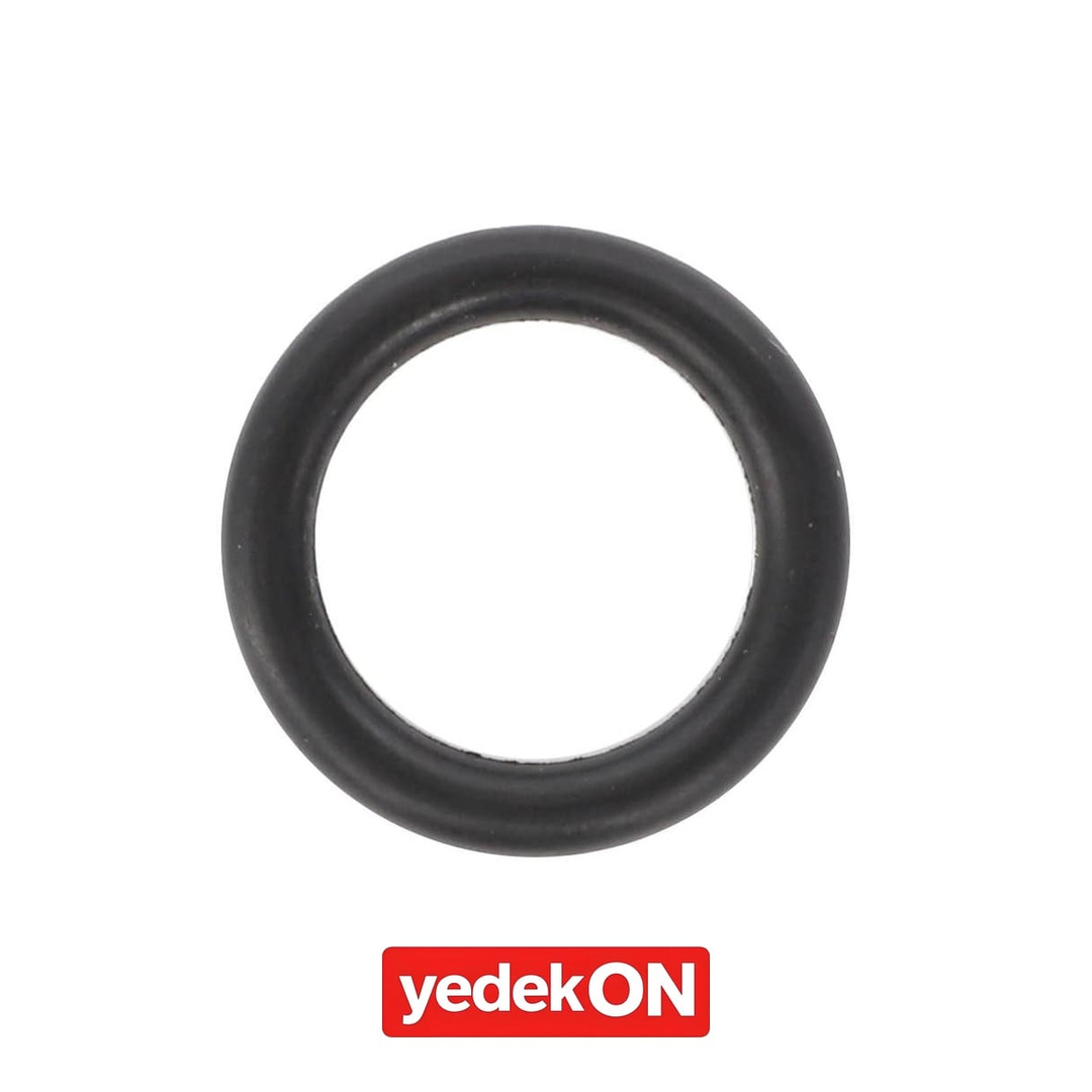 AGCO O-Ring - Massey Ferguson | 1000557M1