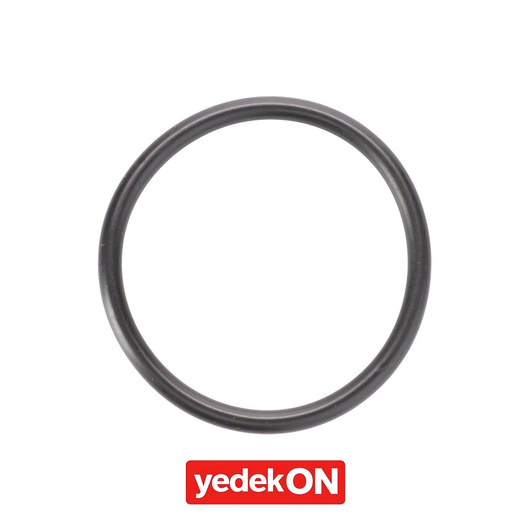 AGCO Ön Aks Pivot Rulman Keçesi - Fendt | F138314020470