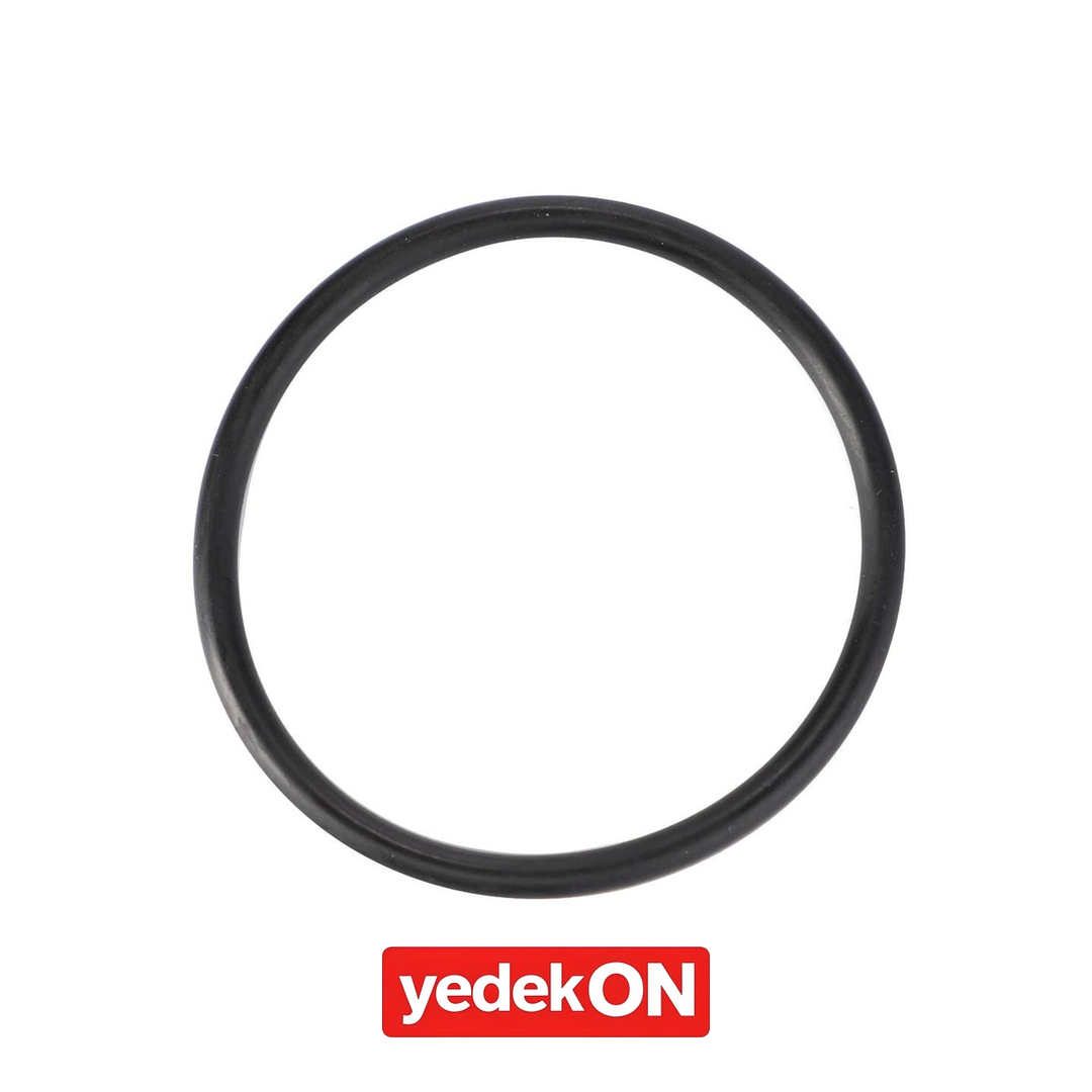 AGCO O-Ring - Massey Ferguson | 3814821M1