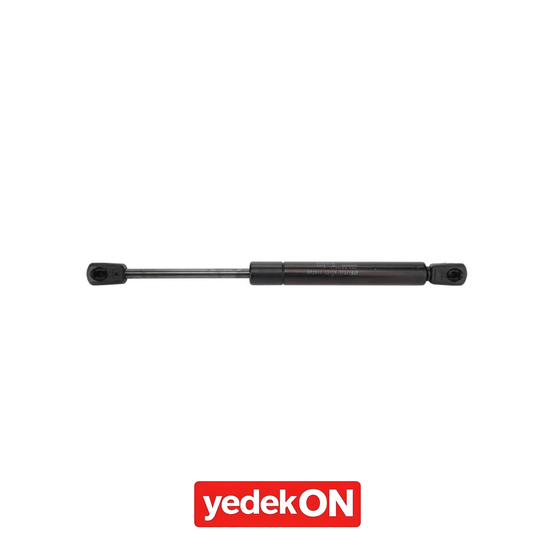 AGCO RAM - Massey Ferguson | 3659544M1