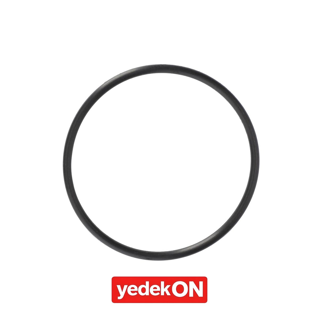 AGCO O-Ring - Massey Ferguson | 3697842M1