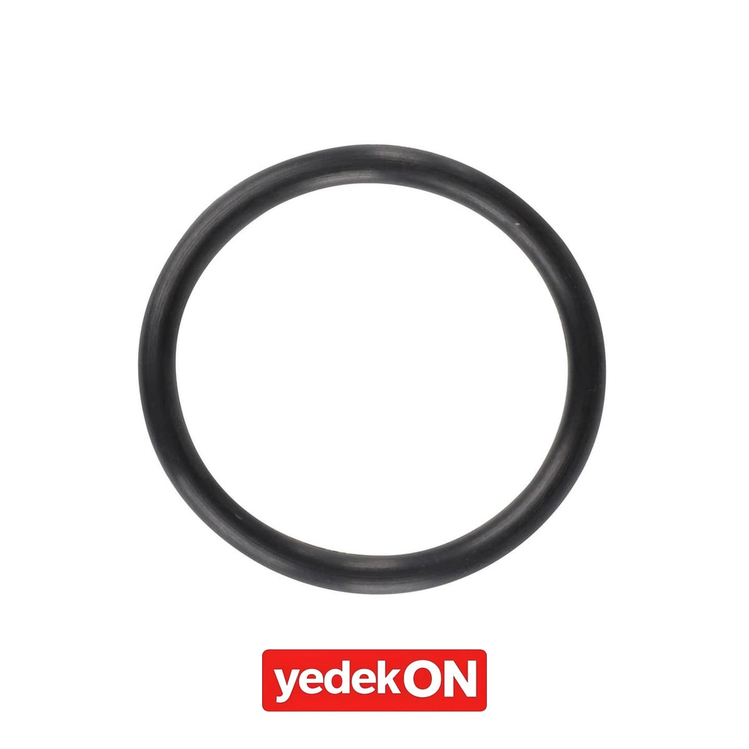 AGCO O-Ring - Valtra | VKH4131