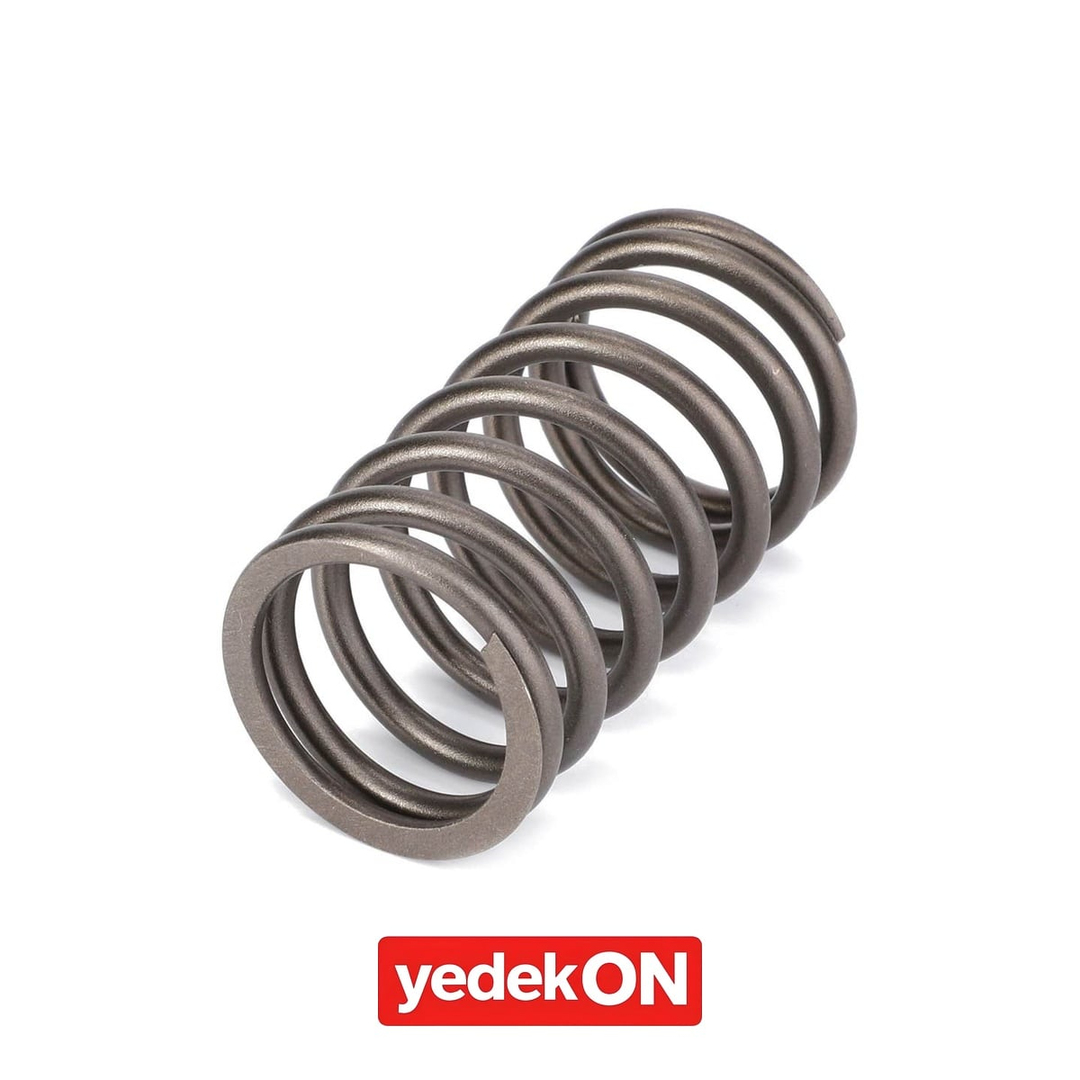 AGCO Valf Yayı - Valtra | V837073405