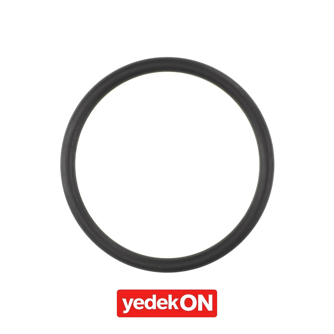 AGCO O-Ring - Massey Ferguson / Fendt / Valtra | ACP0445880