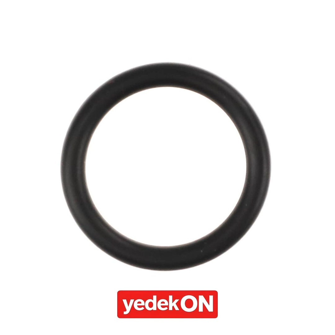 AGCO O-Ring - Massey Ferguson / Fendt / Valtra | ACP0415850