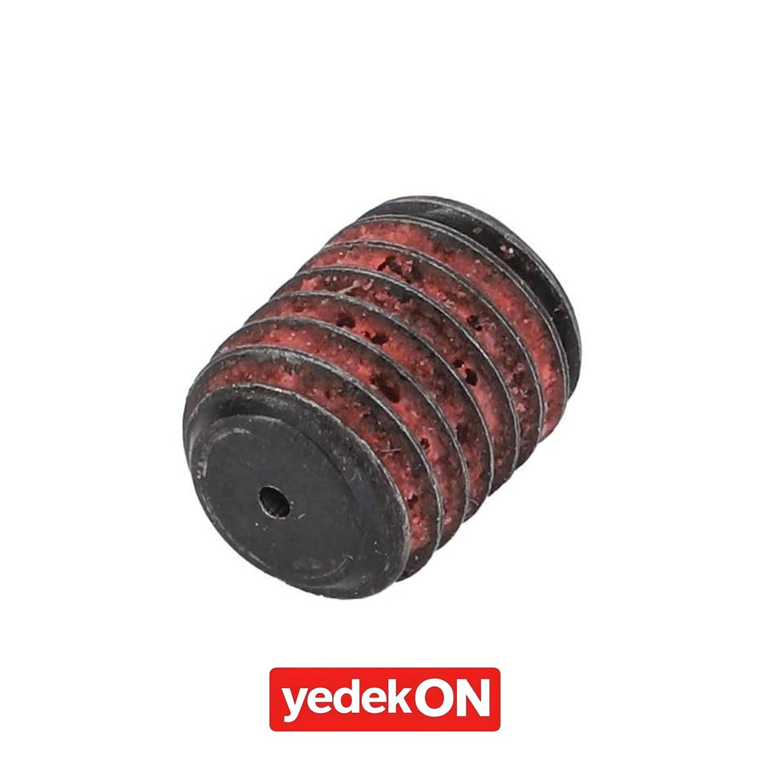 AGCO Altıgen Soket Başlı Set Vida - Massey Ferguson | 4364167M2