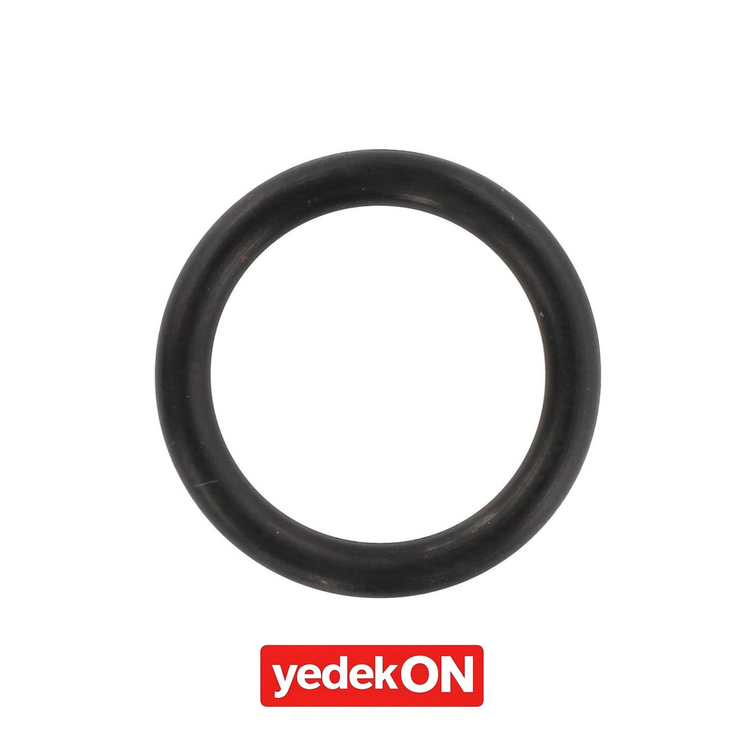 AGCO O-Ring - Massey Ferguson | 3384856M1