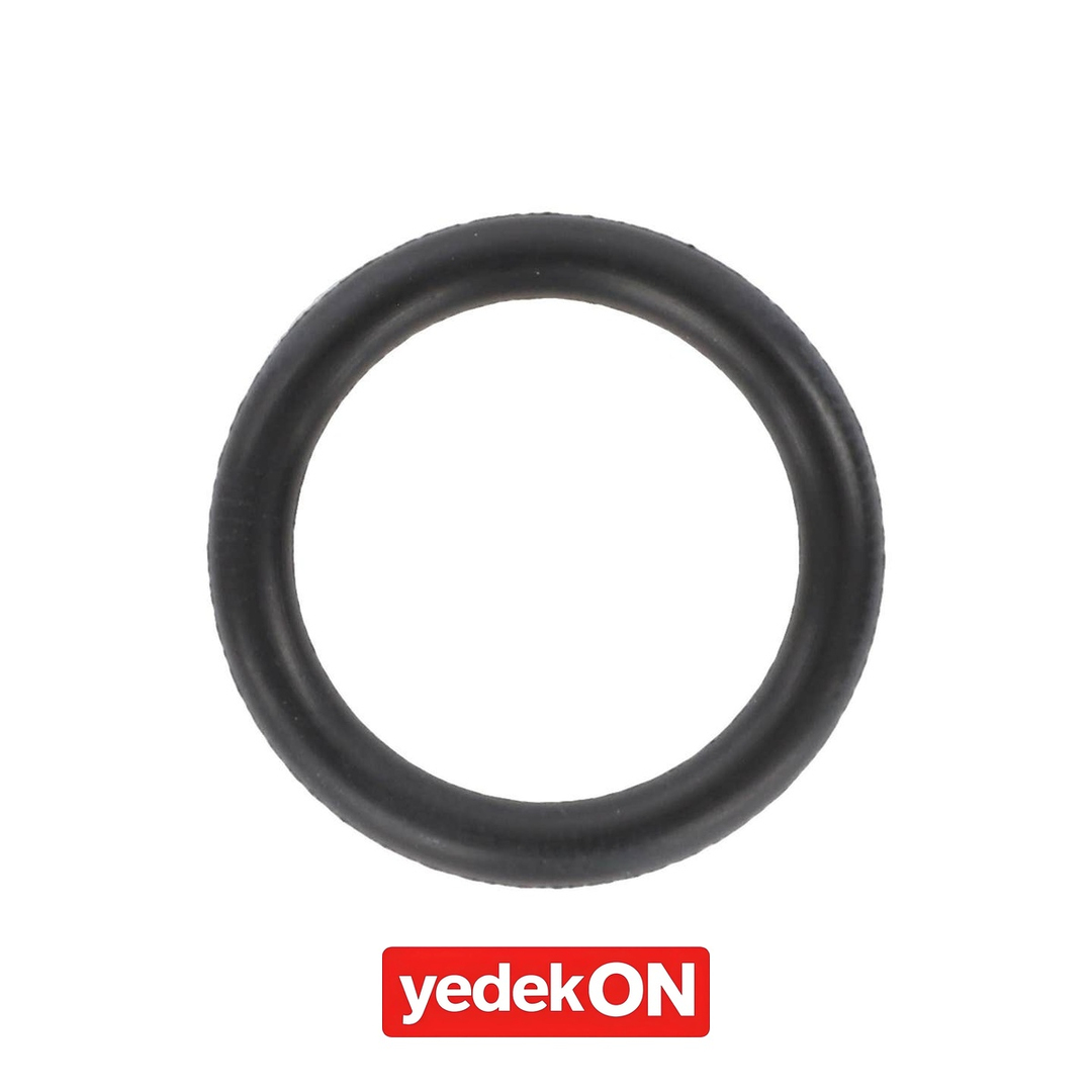 AGCO O-Ring, Şanzıman Piston - Massey Ferguson | 3583009M1
