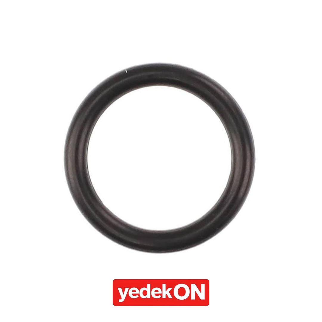 AGCO O-Ring - Massey Ferguson | 4264752M1