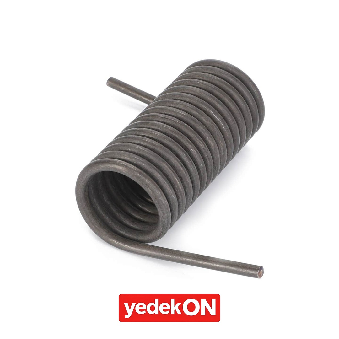 AGCO Torsiyon Yay - Massey Ferguson | 3384725M2