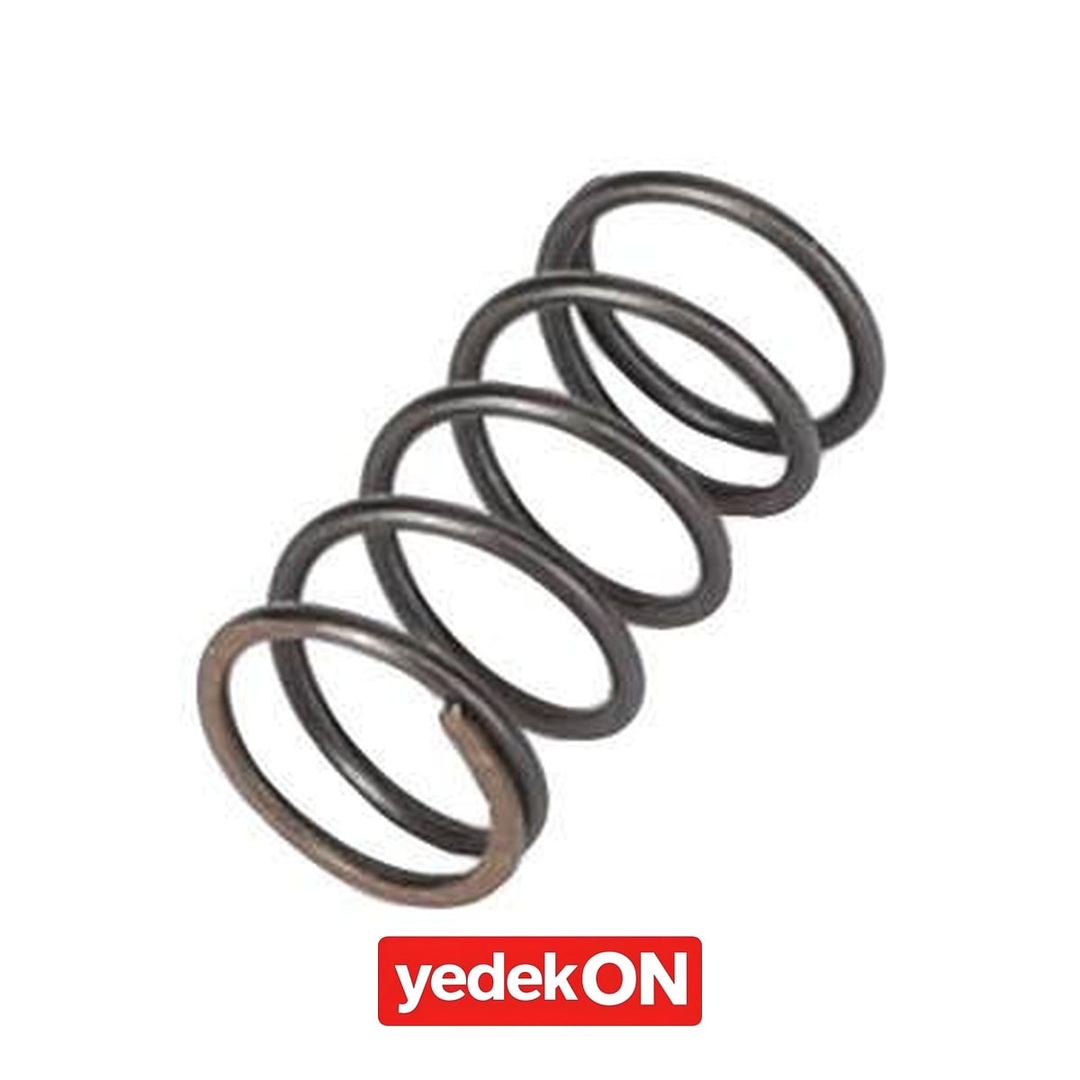 AGCO Sıkıştırma Yayı - Fendt | F916961020120
