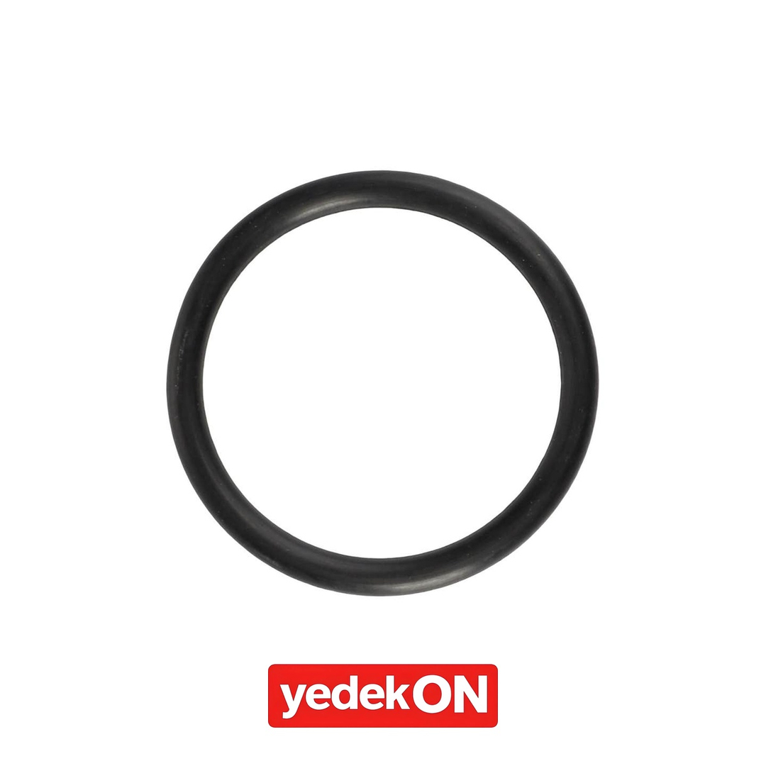 AGCO O-Ring - Massey Ferguson | 3585217M1