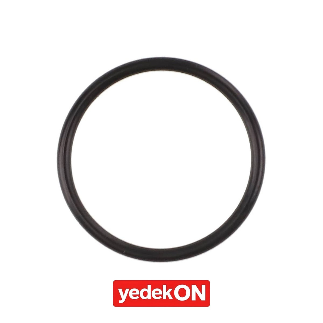 AGCO O-Ring - Massey Ferguson | 3702476M1