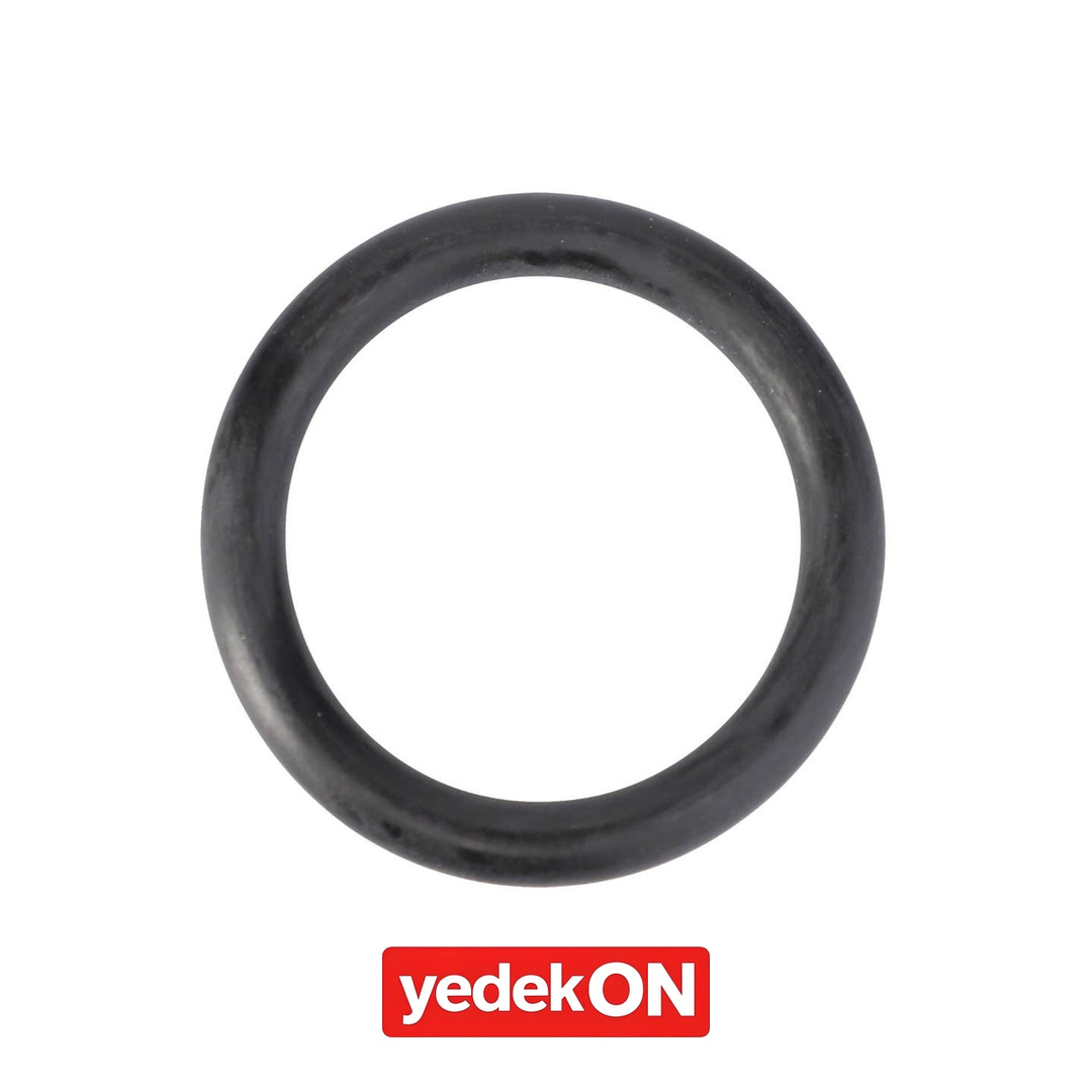 AGCO O-Ring Kaplin - Challenger | X548887266000