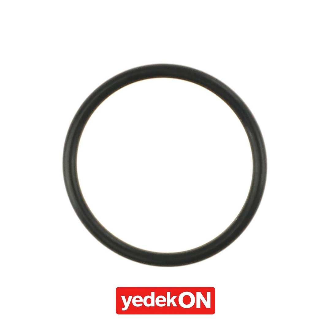 AGCO O-Ring - Massey Ferguson | 3608736M1