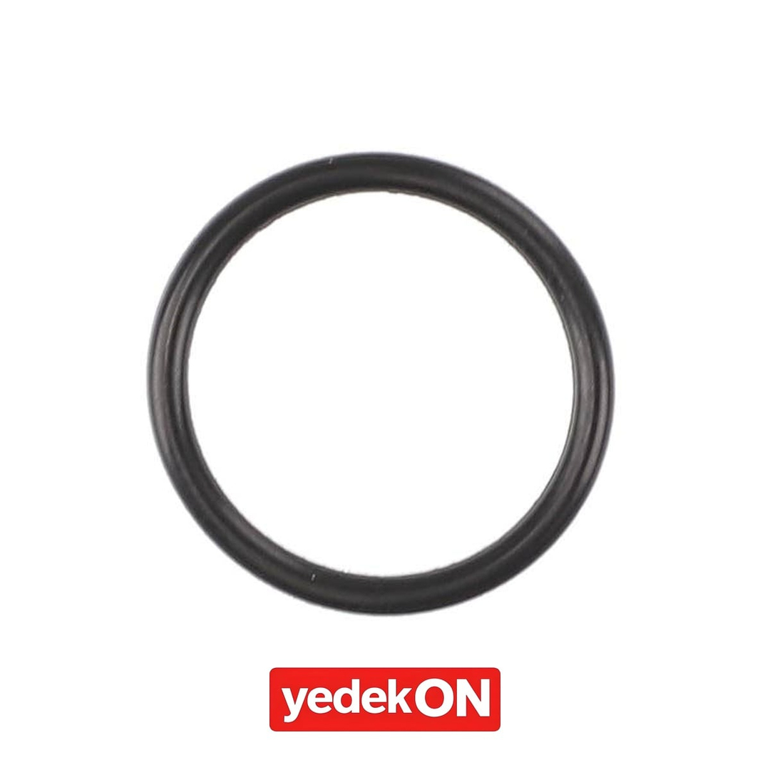 AGCO O-Ring - Massey Ferguson | 3702480M1