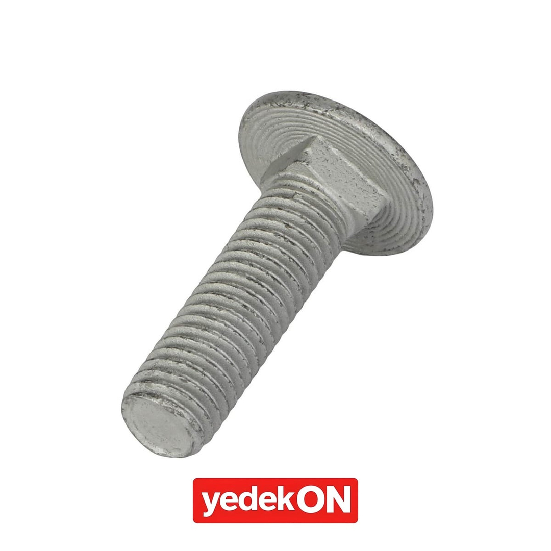 AGCO Yuvarlak Başlı Kare Boyun Cıvata - Massey Ferguson / Fendt / Valtra | ACW0997860