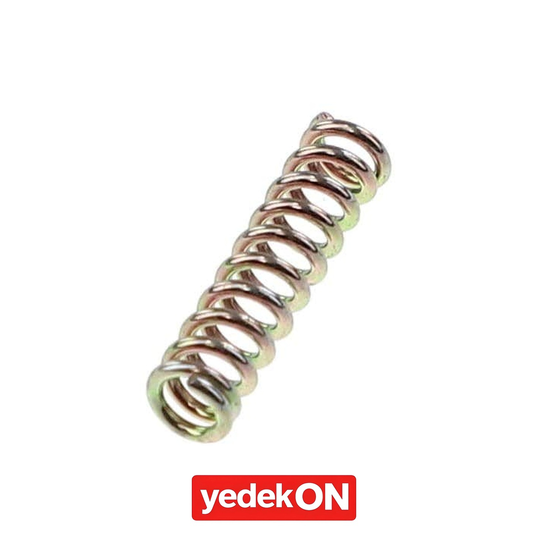 AGCO Valf Yayları - Massey Ferguson | 3704974M1