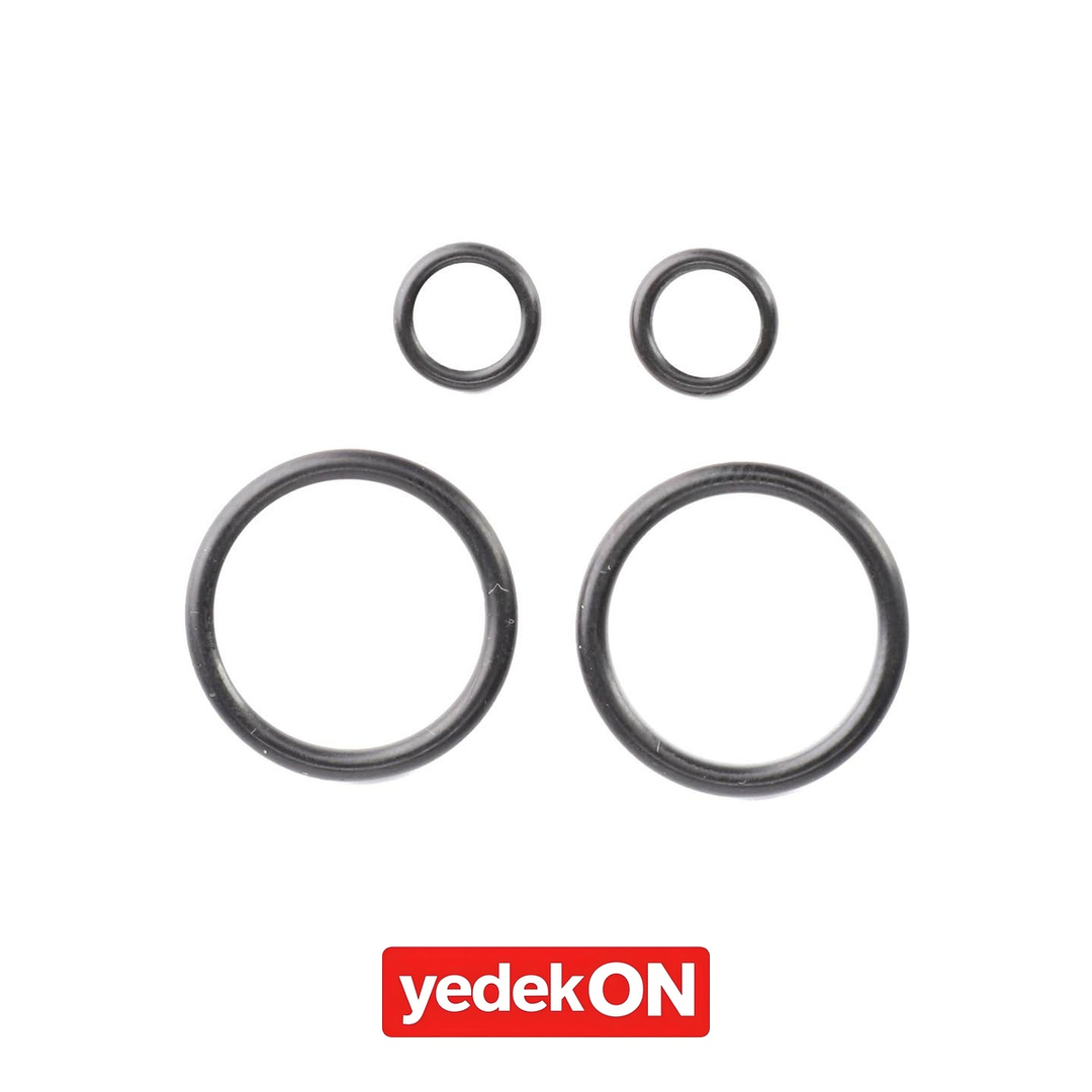 AGCO Keçe Takımı - Massey Ferguson | 4308225M11